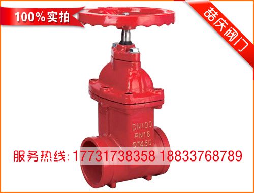 RVGS-Z85X-16溝槽軟密封閘閥